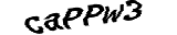 Proforms